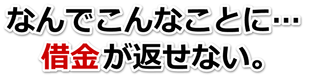 何も考えられない。借金が返せない。胎内市で弁護士や司法書士に無料相談するしかない